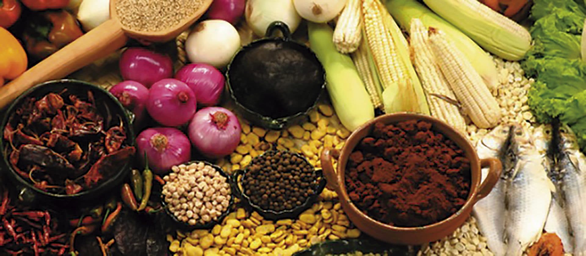 Milpa, policultivo ancestral del futuro