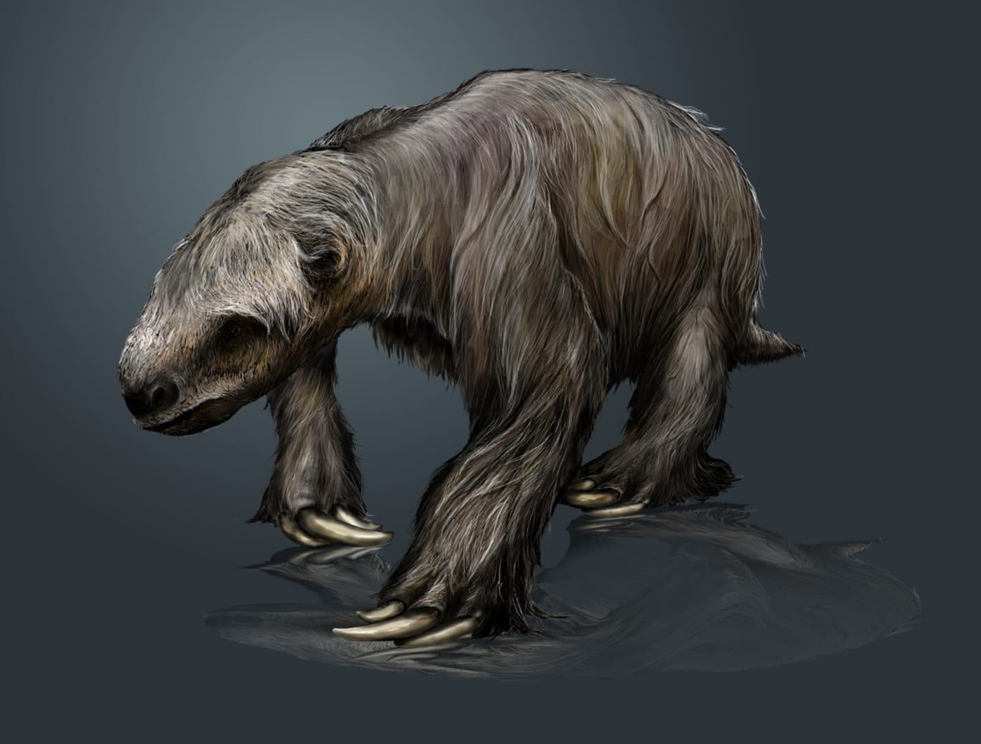 Megafauna en cuevas inundadas y cenotes