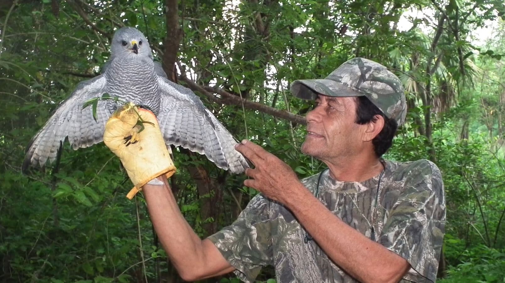 Semblanza Arturo Enrique Bayona Miramontes