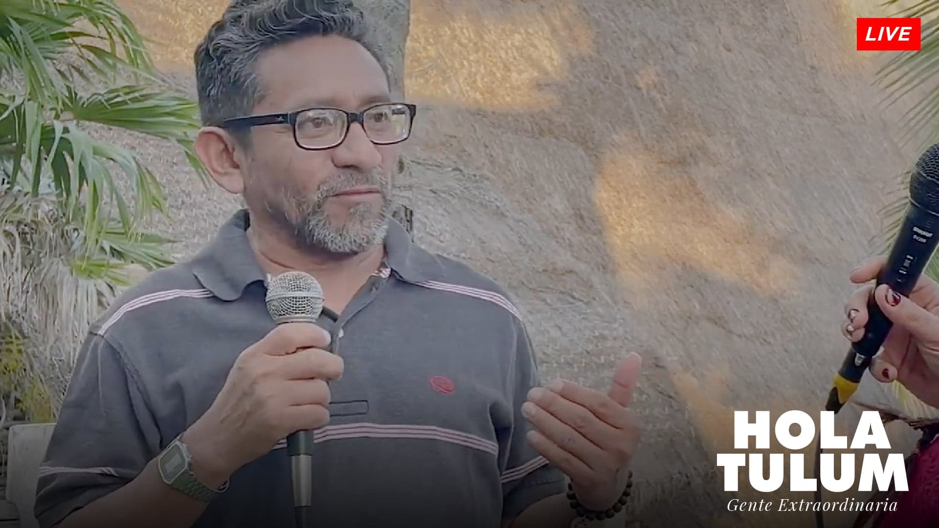 Una plática delirante con Rafael Gómez Chi