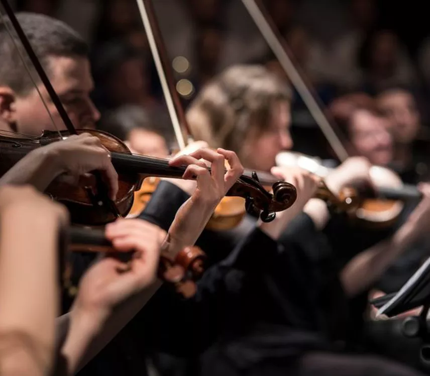 Los grandes músicos del Caribe mexicano