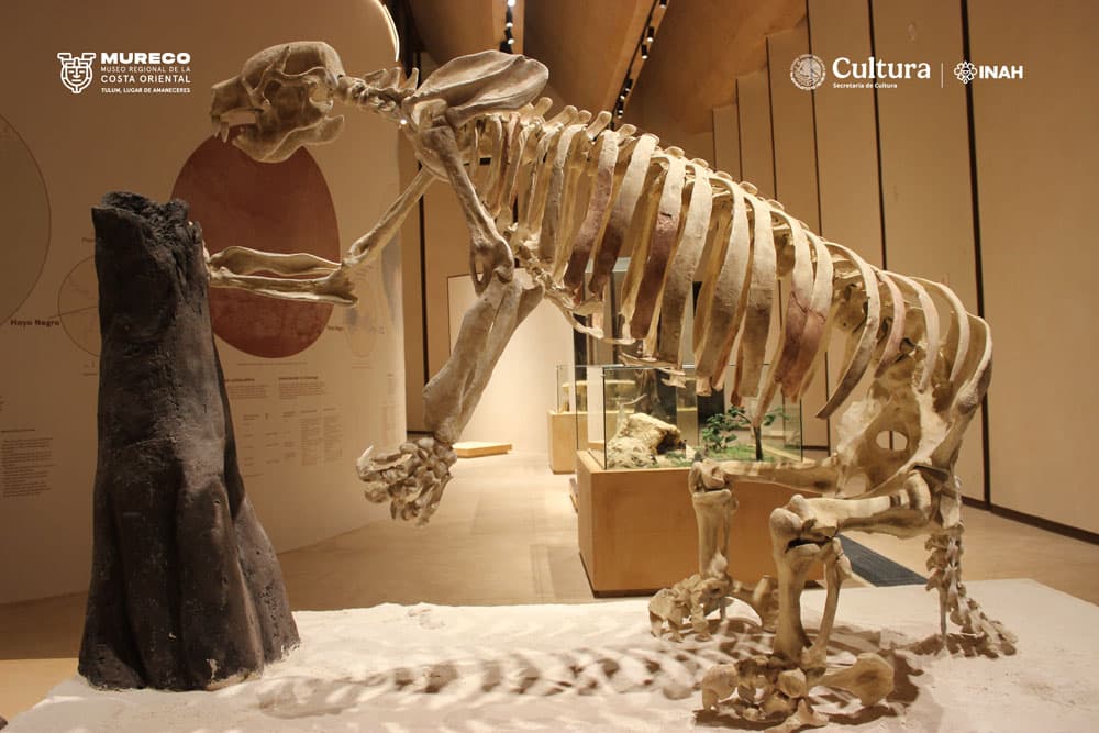 El Museo Regional de la Costa Oriental cumple un año como referente cultural en el Caribe mexicano