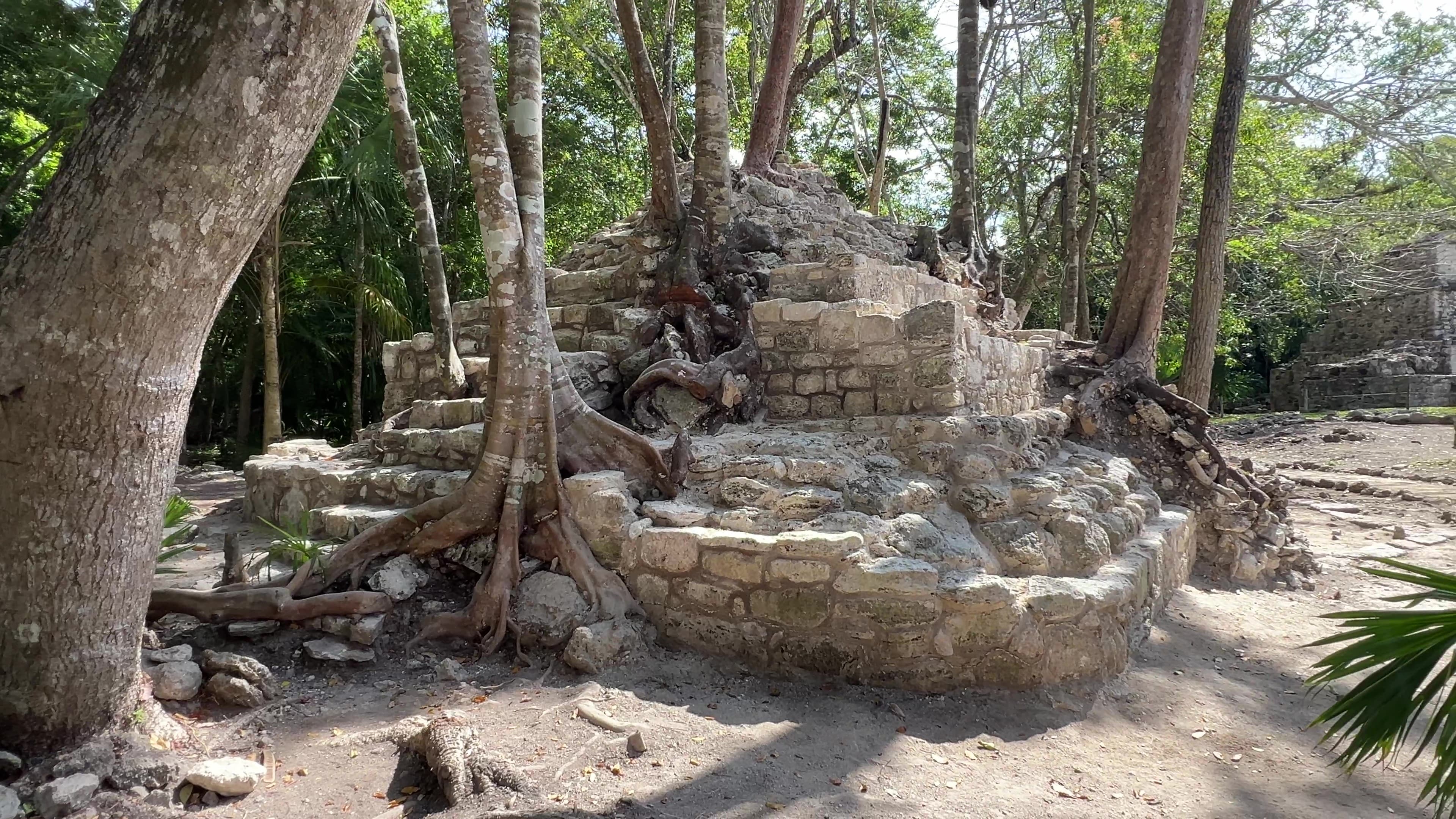 Muyil: Un Sitio a las Puertas del Cielo en la Biosfera Sian Ka'an