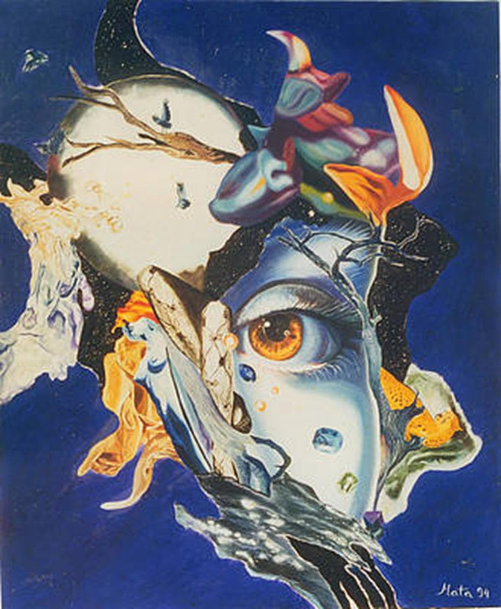 Entrevista Dr. Prof. Zoran MaticMata