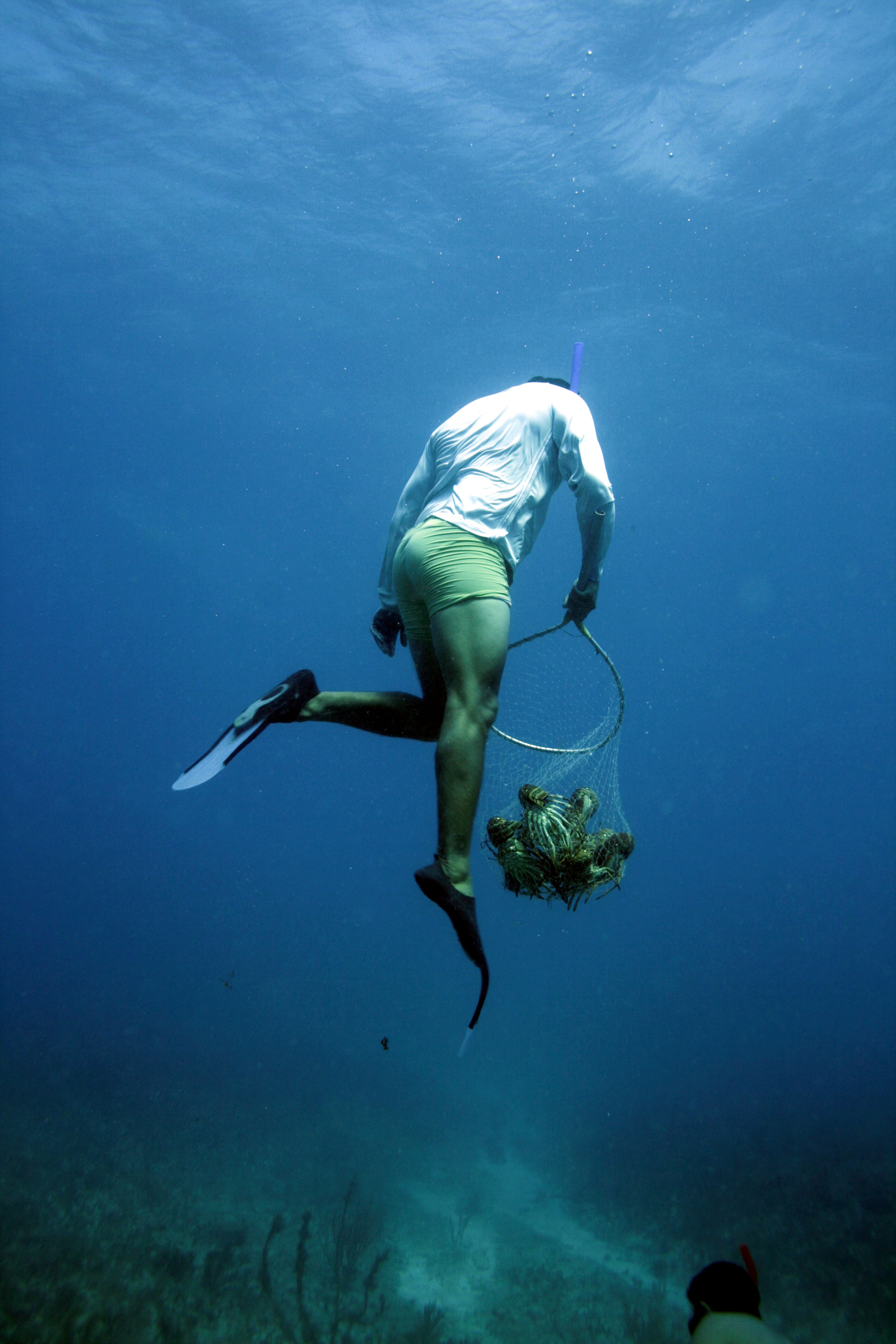 El Laberinto Subterráneo de Sian Ka'an: Una Última Frontera de Exploración y Conservación