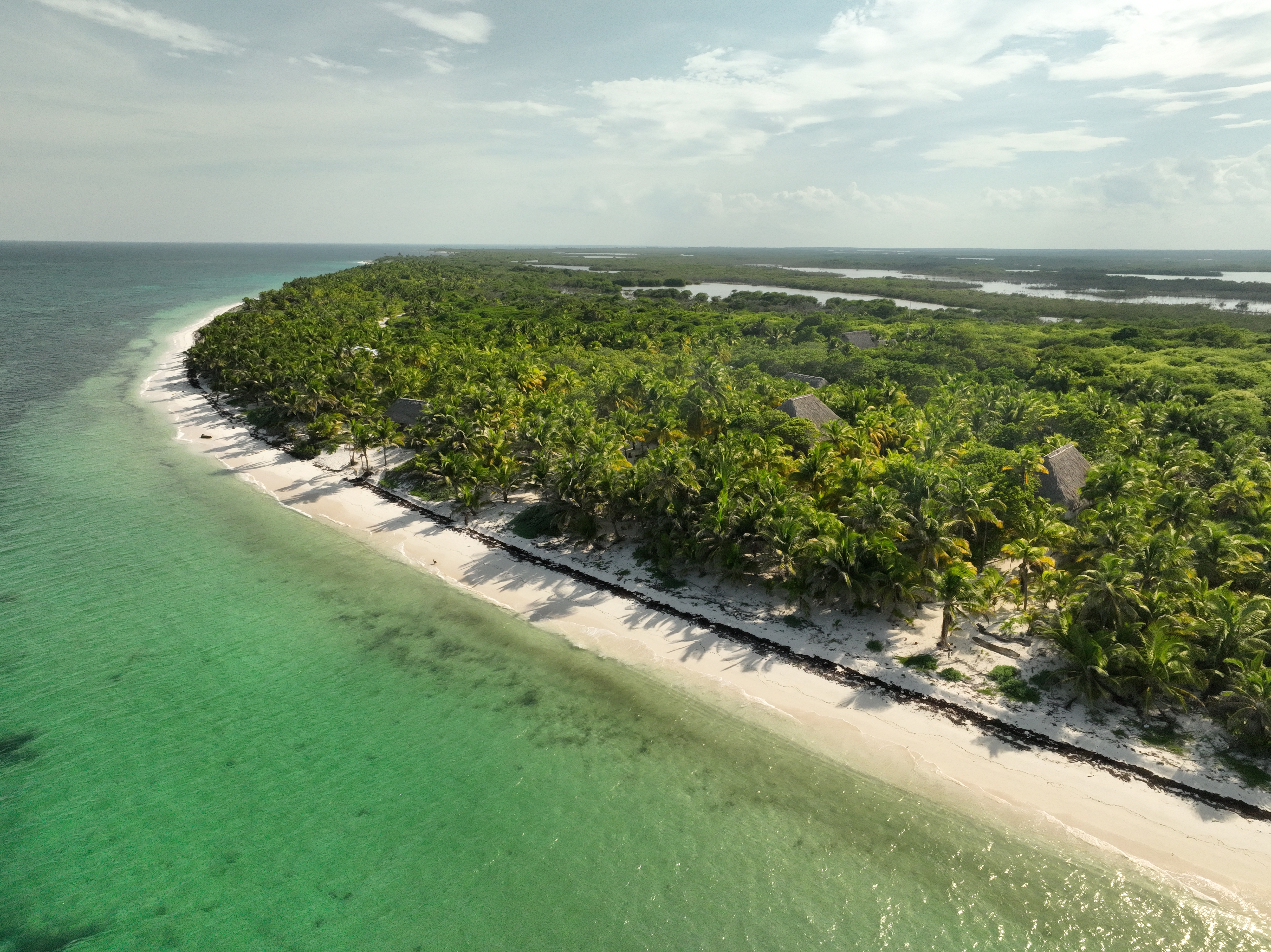 El Laberinto Subterráneo de Sian Ka'an: Una Última Frontera de Exploración y Conservación