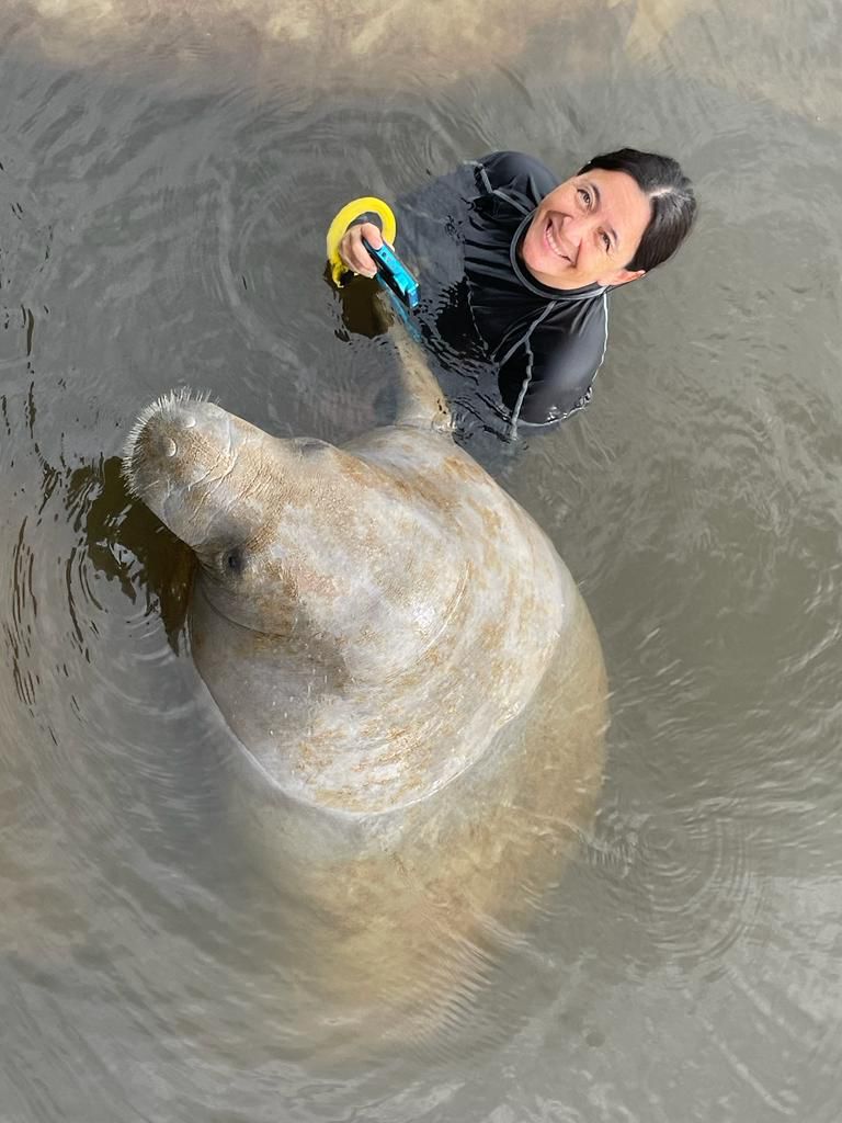 La Reserva de la Biósfera de Sian Ka’an: Refugio Favorito de Delfines y Manatíes