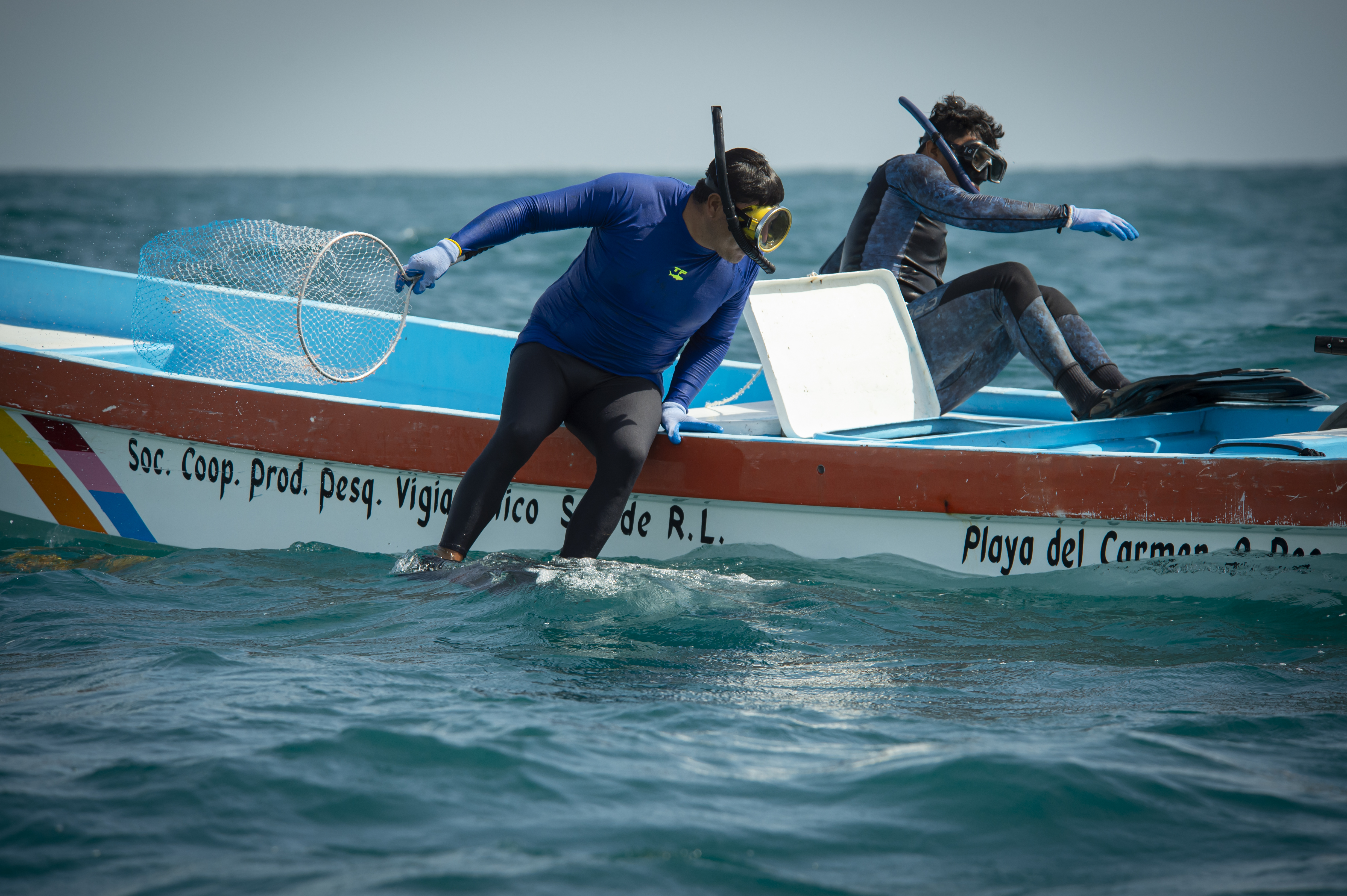 La Reserva de la Biósfera de Sian Ka’an: Refugio Favorito de Delfines y Manatíes