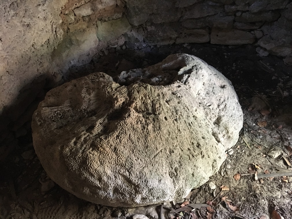 La Travesía de Michel Peissel, el Explorador Francés Que Caminó Entre Templos Olvidados de Quintana Roo