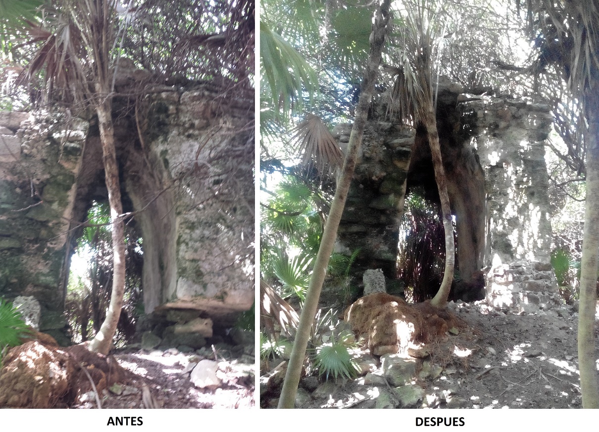 La Travesía de Michel Peissel, el Explorador Francés Que Caminó Entre Templos Olvidados de Quintana Roo