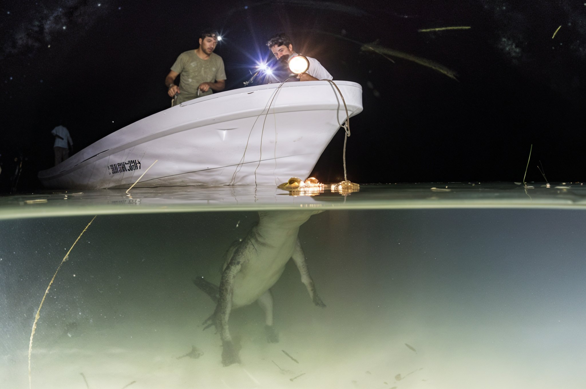 Los Cocodrilos de Sian Ka'an