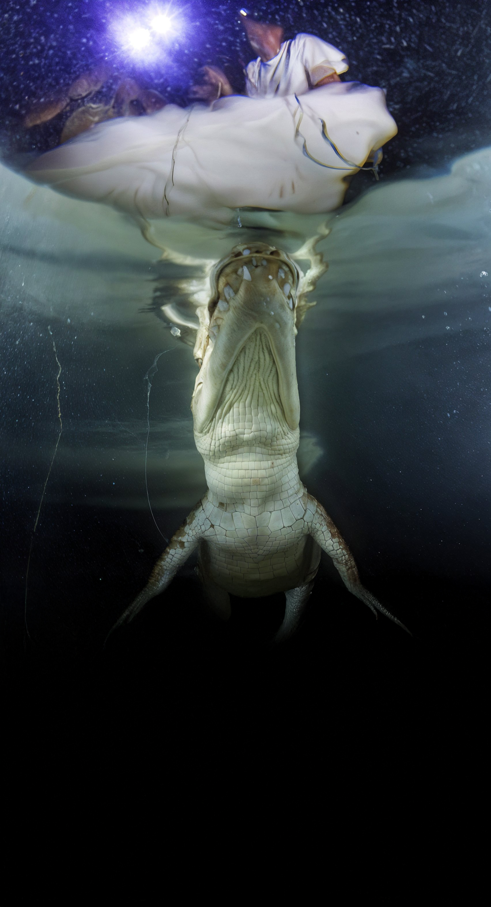 Los Cocodrilos de Sian Ka'an