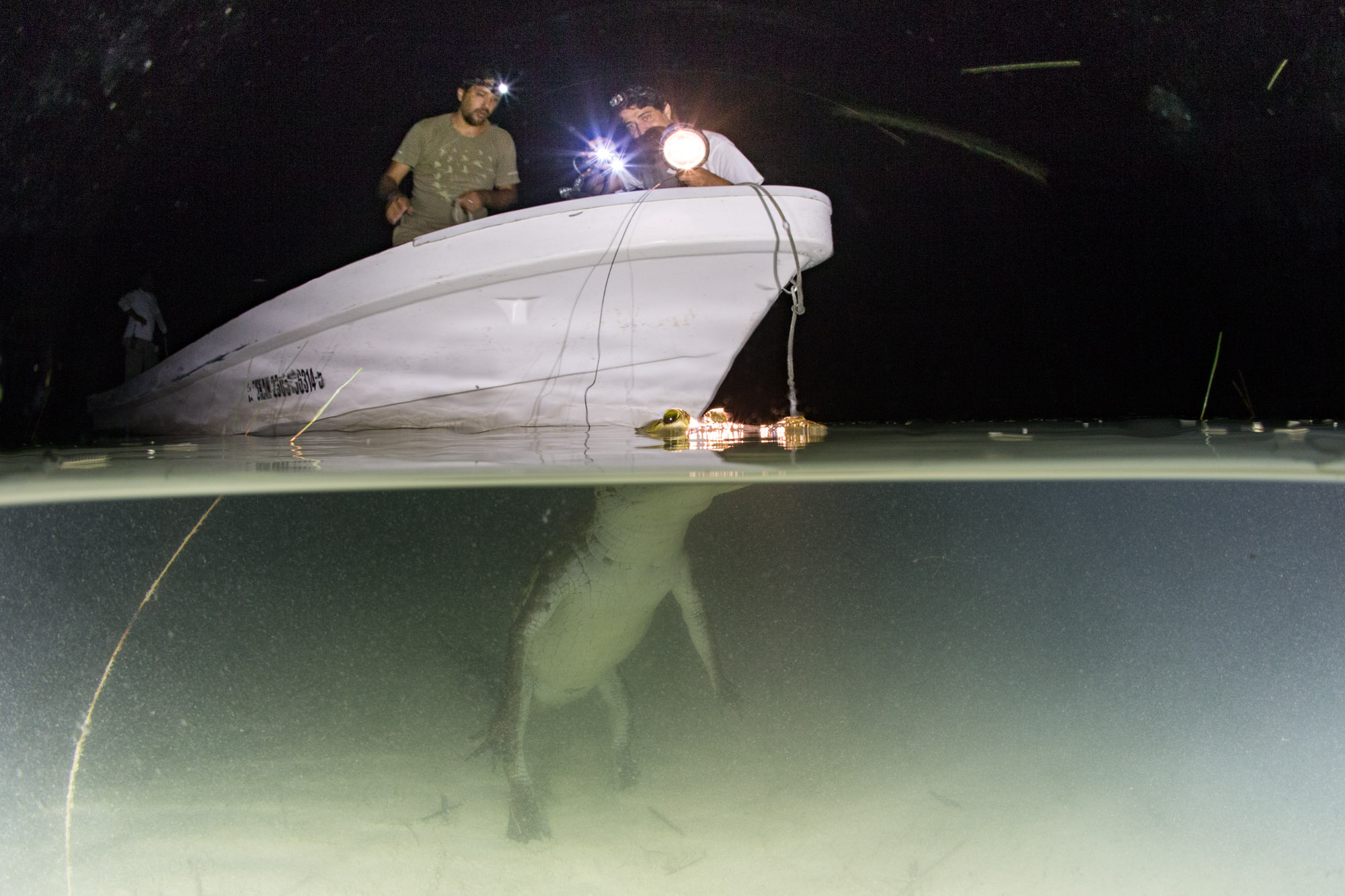 Los Cocodrilos de Sian Ka'an