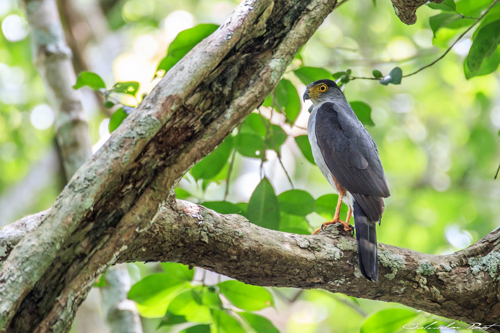Sian Ka'an, las Alas del Cielo