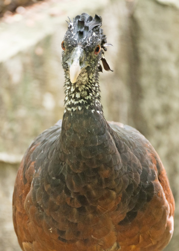 Sian Ka'an, las Alas del Cielo