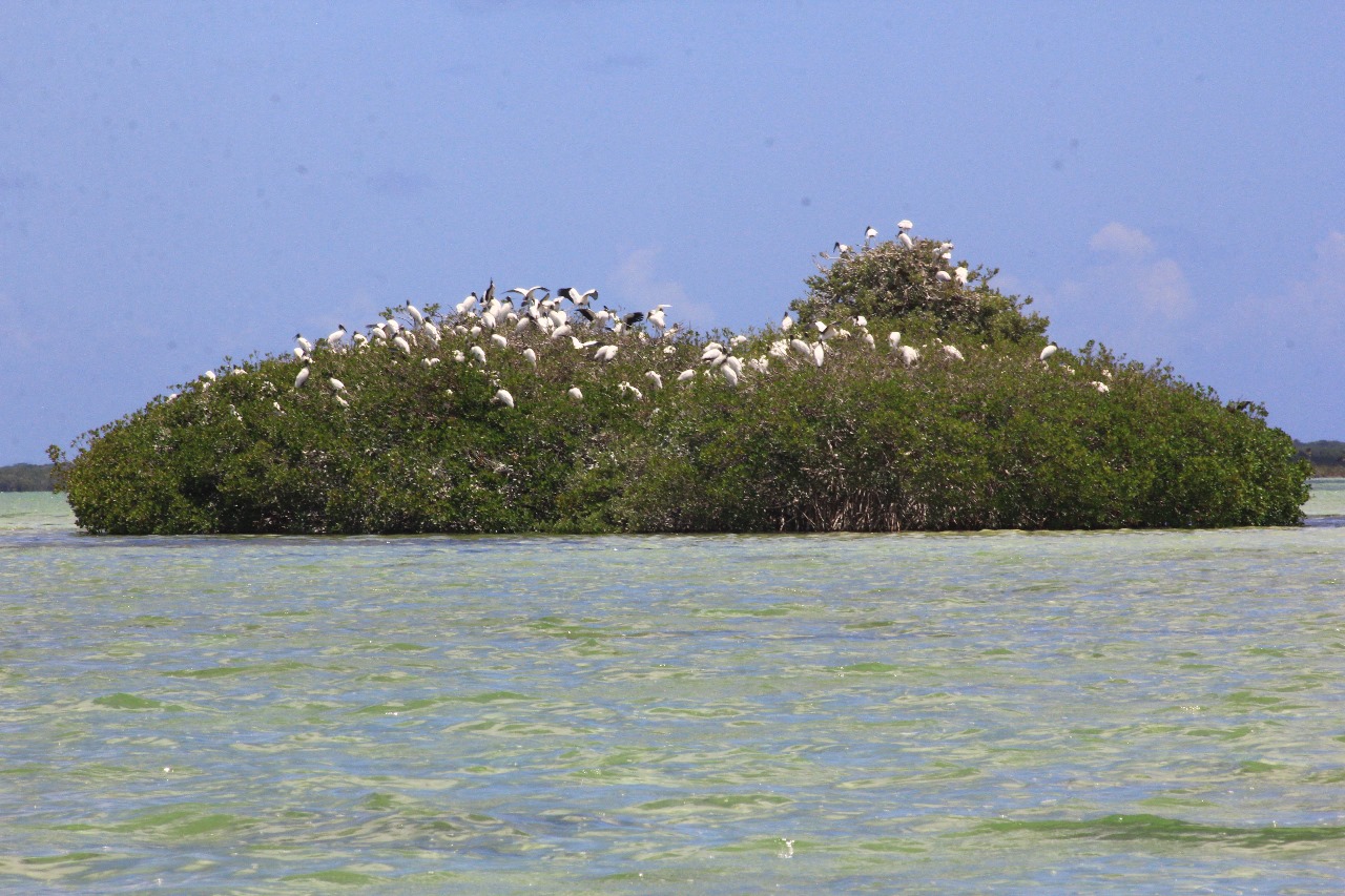 Sian Ka'an, las Alas del Cielo