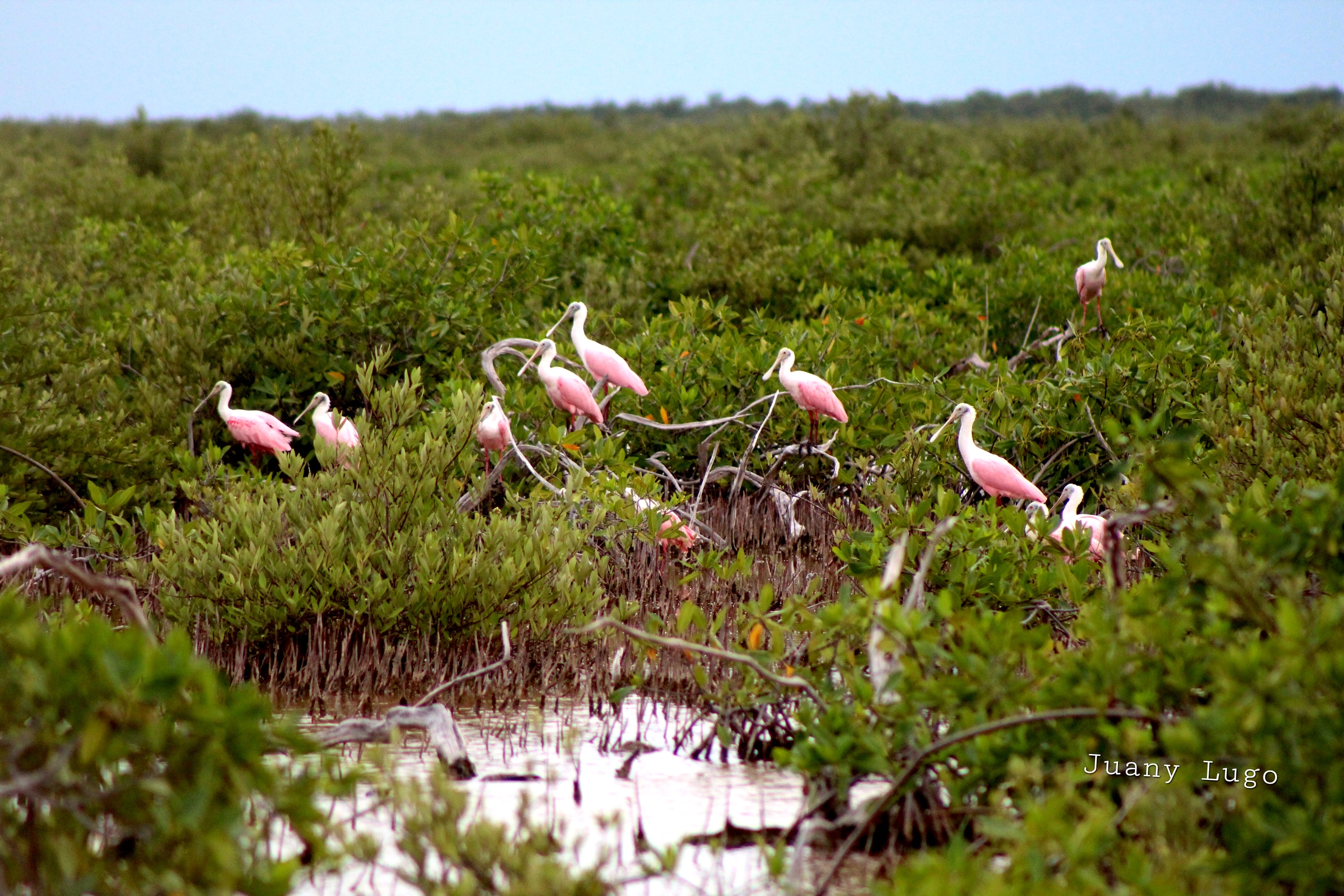 Sian Ka'an, las Alas del Cielo