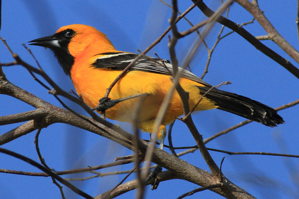 Sian Ka'an, las Alas del Cielo