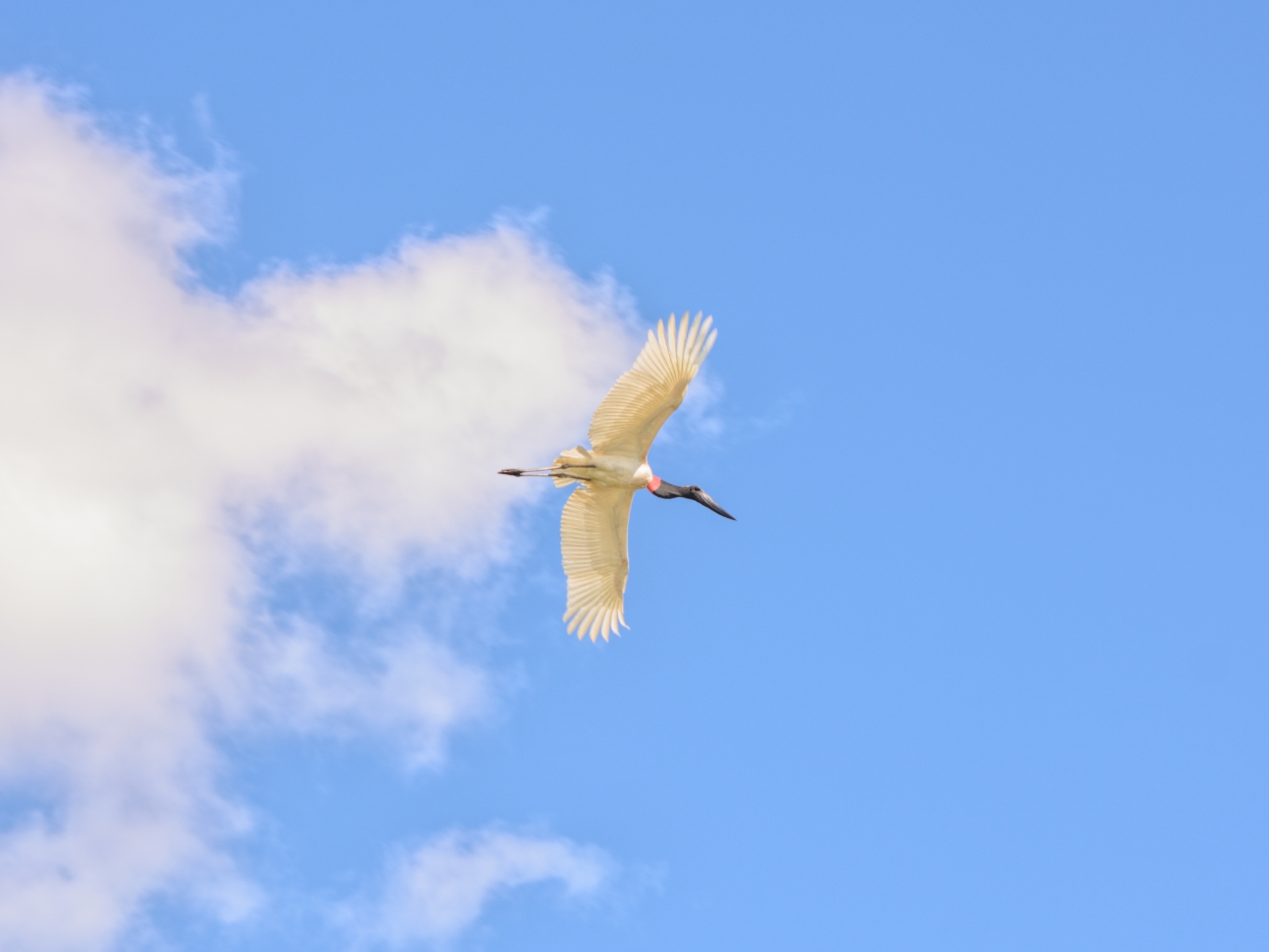Sian Ka'an, las Alas del Cielo