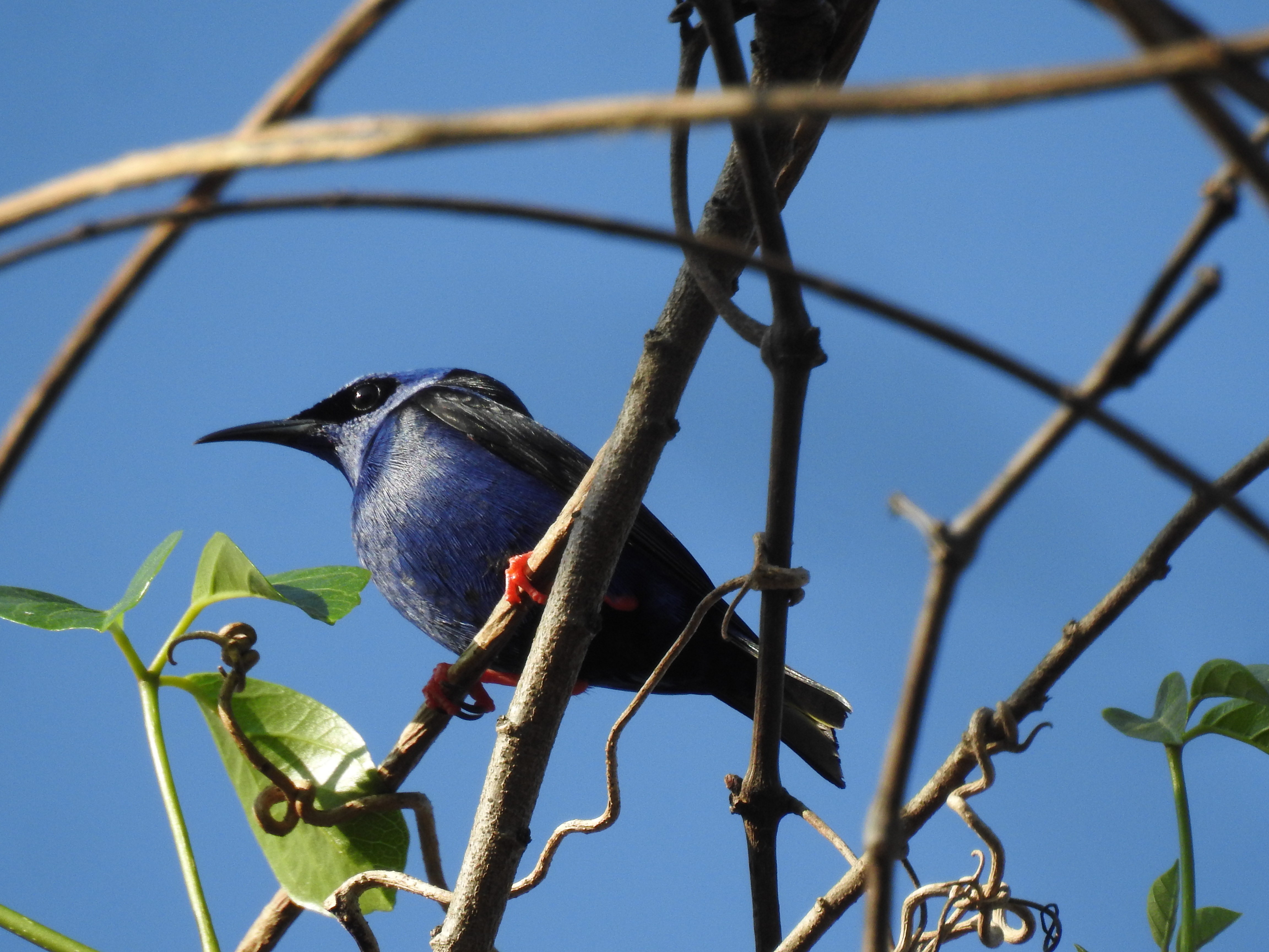 Sian Ka'an, las Alas del Cielo