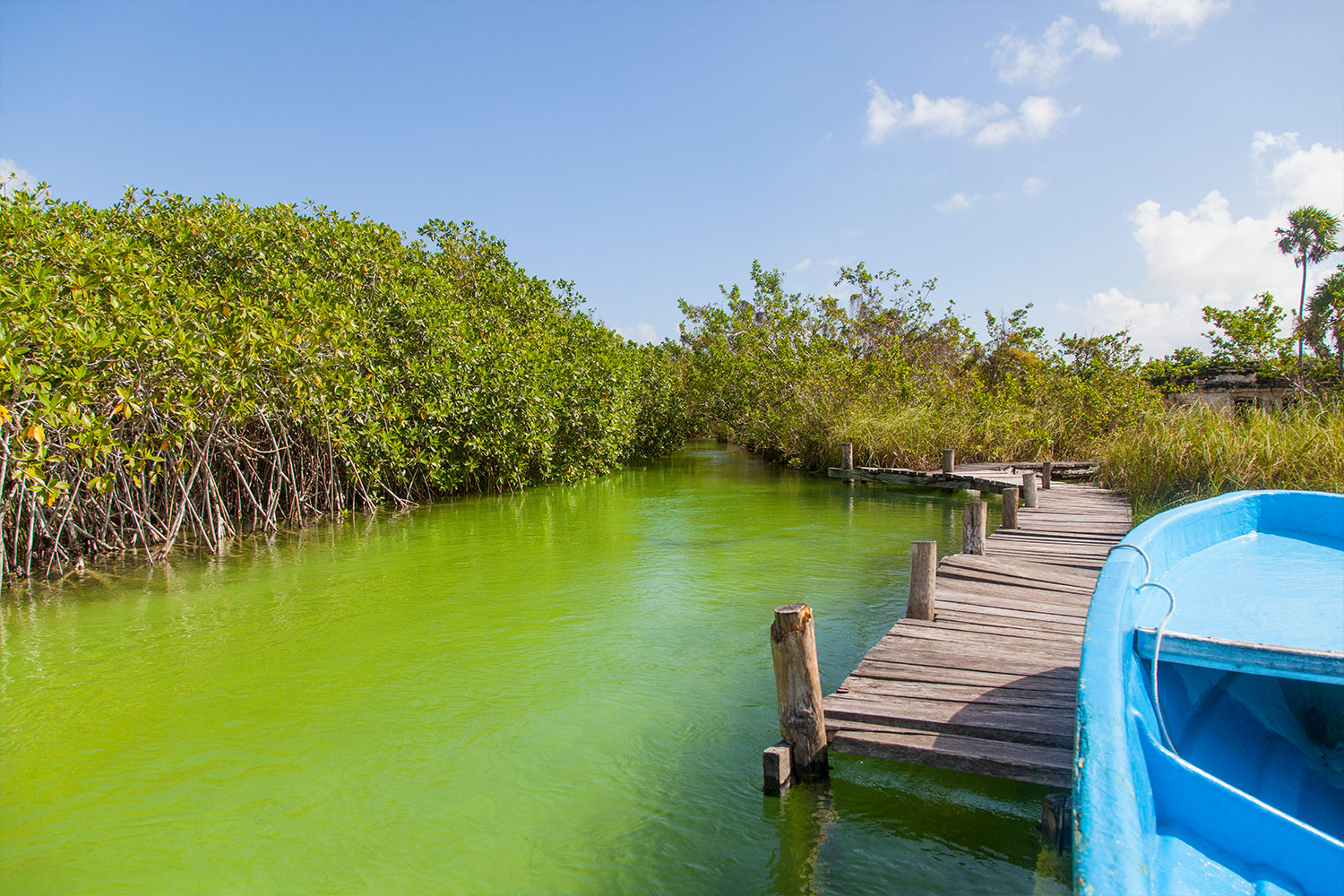 Sian Ka'an: Una Relación no Rota Entre el Ser Humano y la Naturaleza