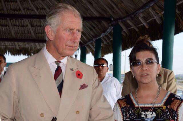 No Tuve Más Remedio Que Enamorarme del Océano.