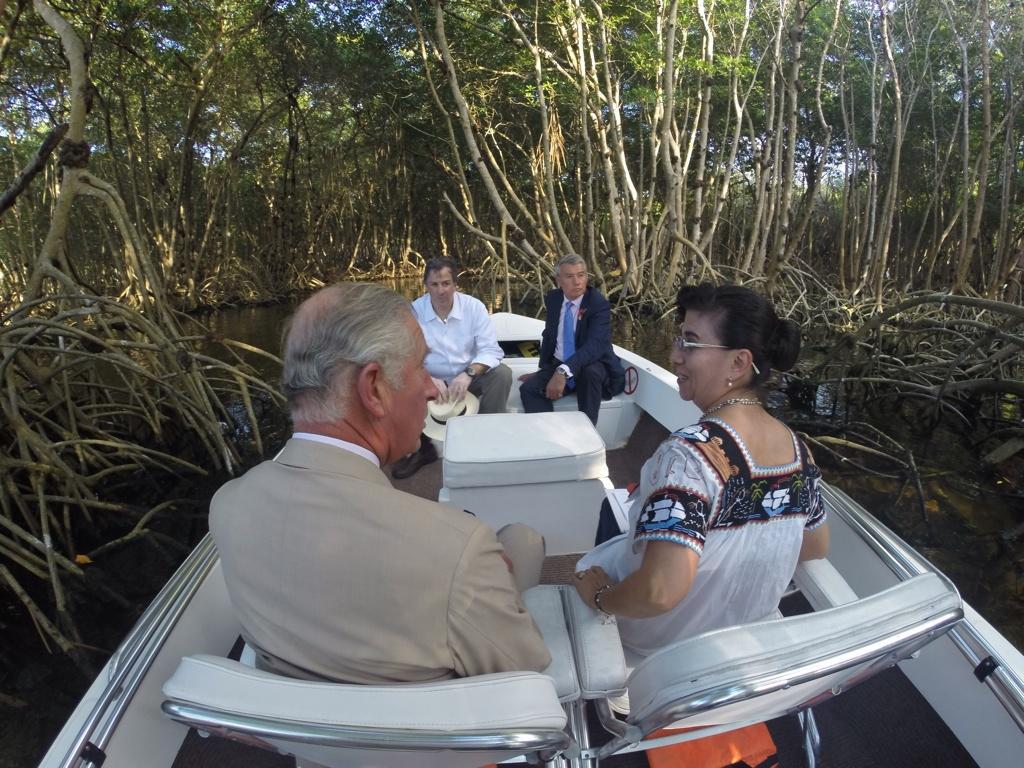 No Tuve Más Remedio Que Enamorarme del Océano.