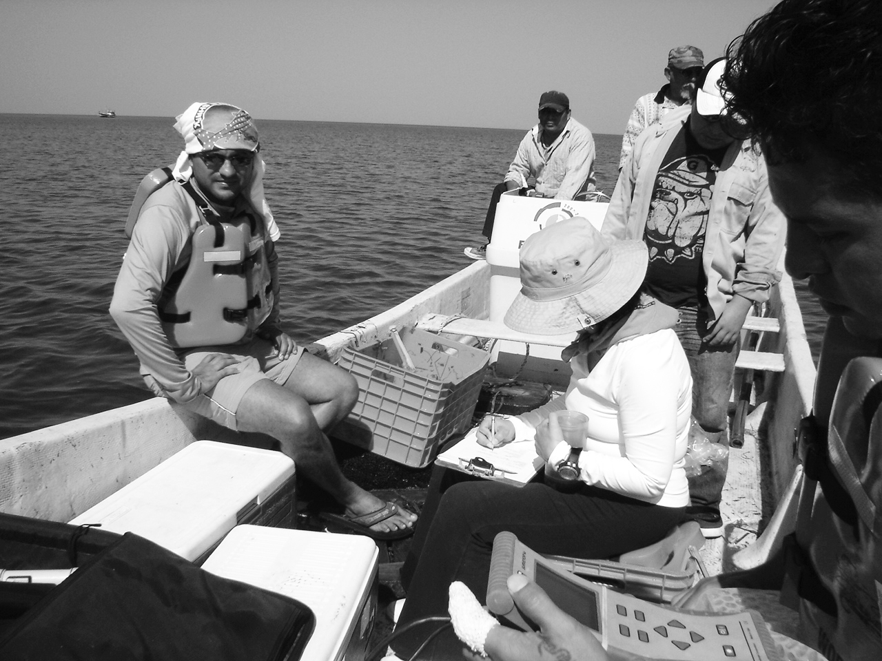 No Tuve Más Remedio Que Enamorarme del Océano.