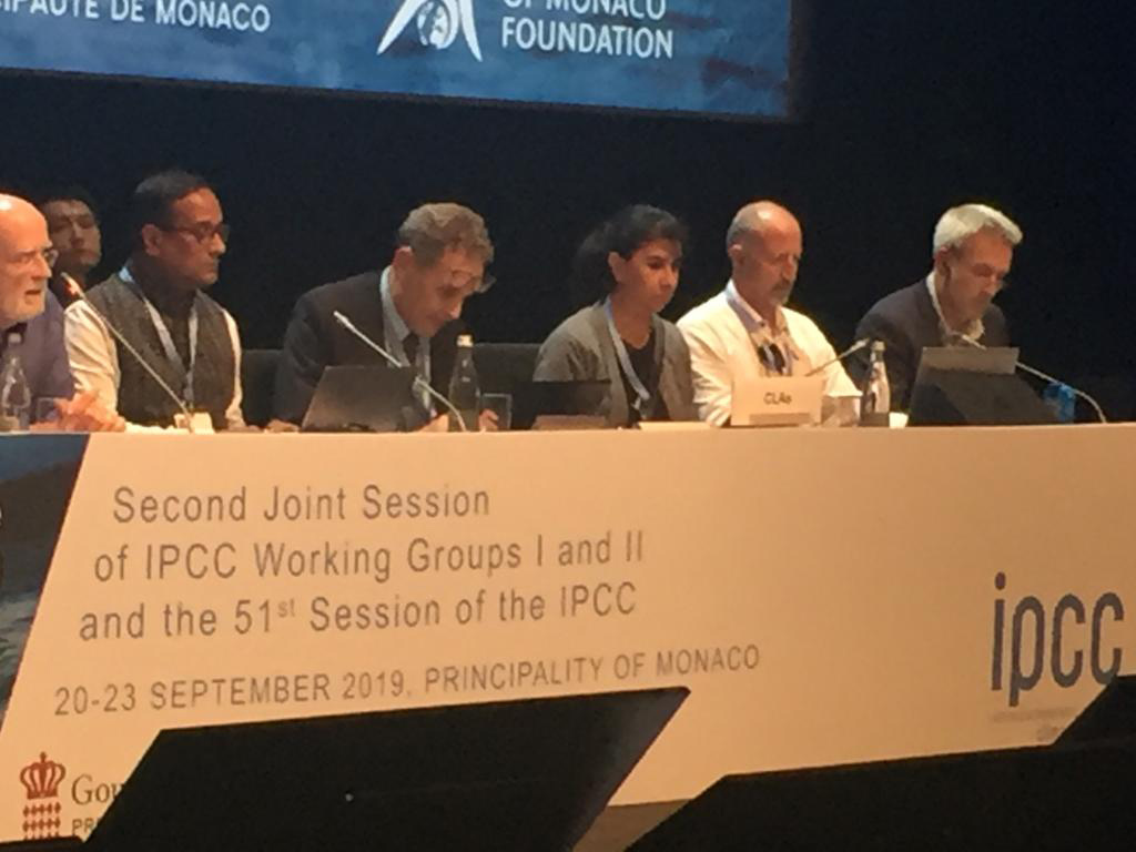 No Tuve Más Remedio Que Enamorarme del Océano.