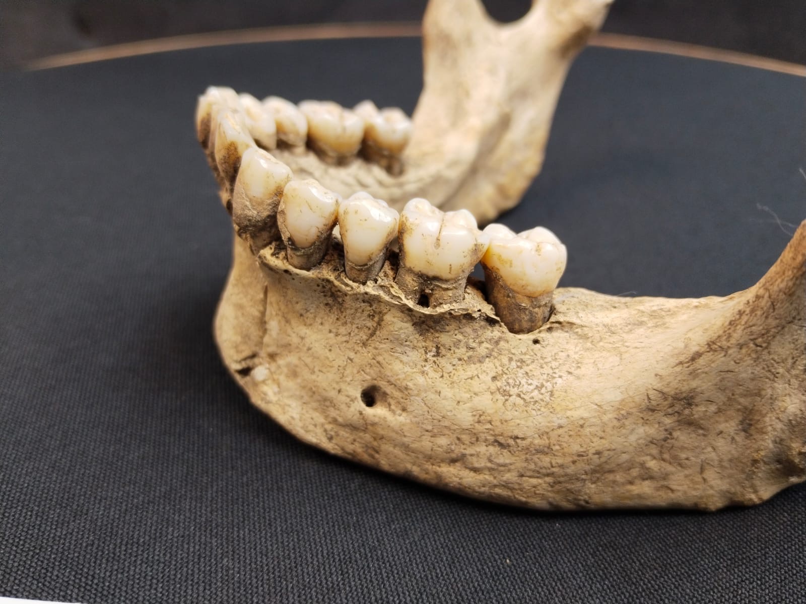 Tras los Enigmas de Tulum.