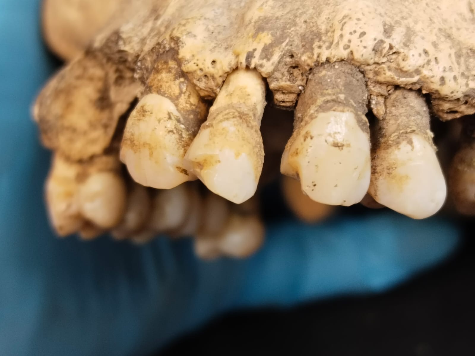 Tras los Enigmas de Tulum.