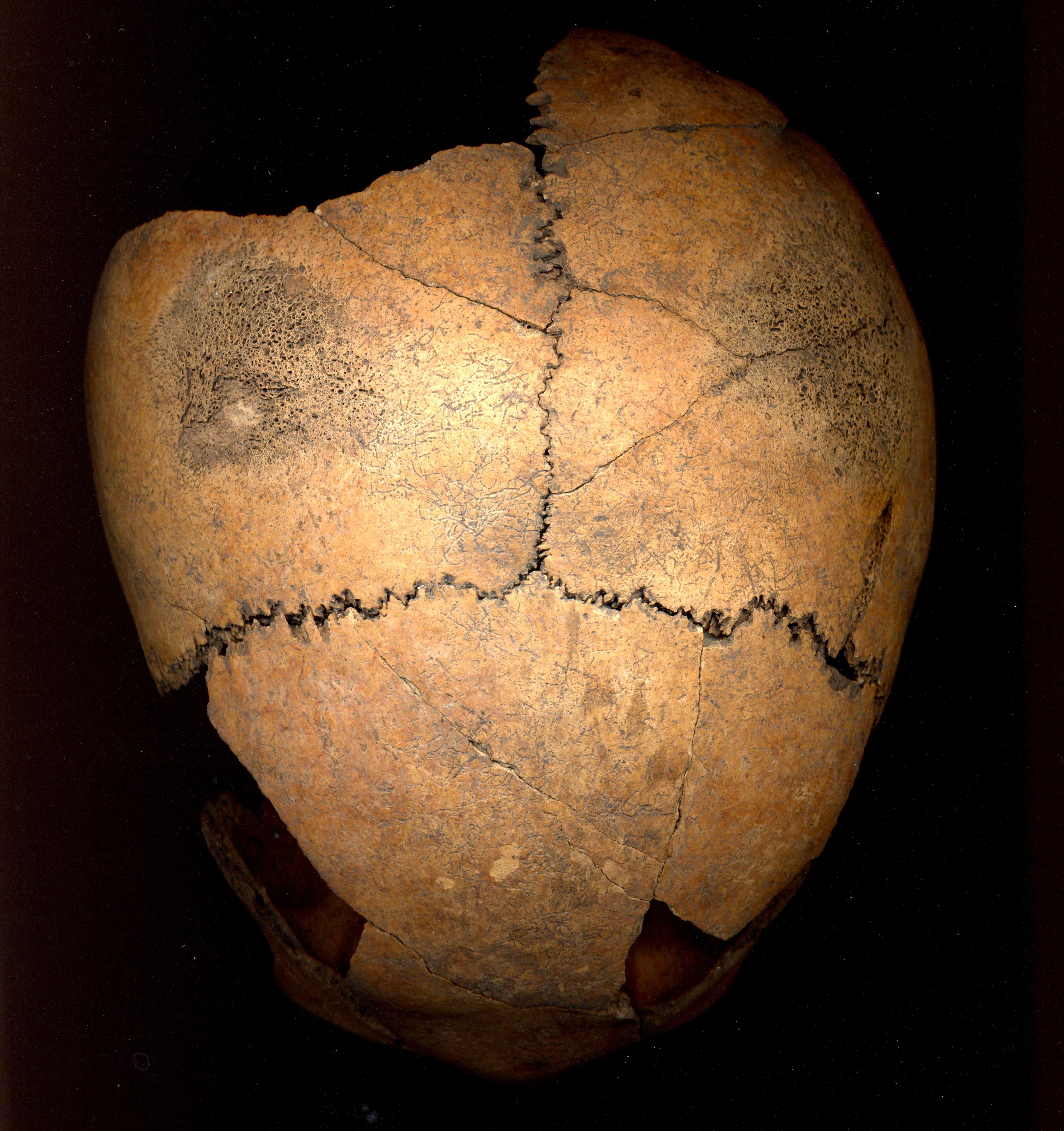 Tras los Enigmas de Tulum.