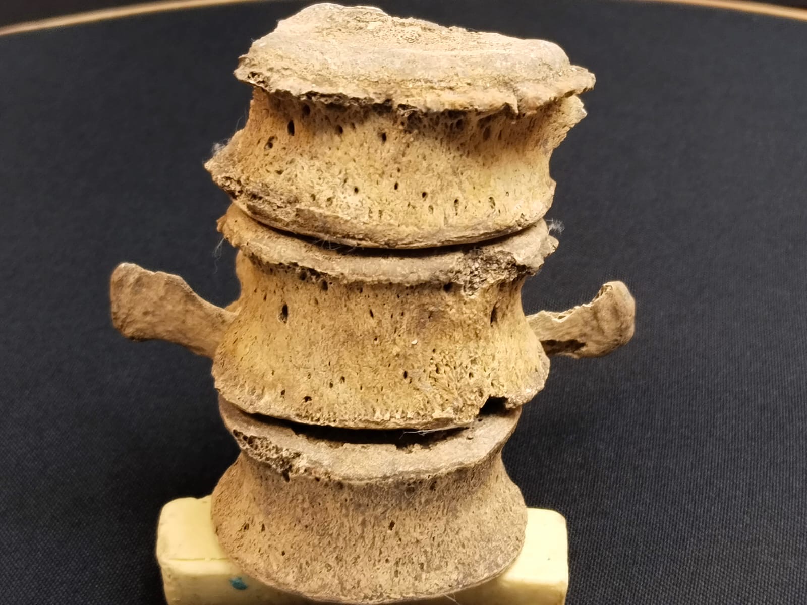 Tras los Enigmas de Tulum.