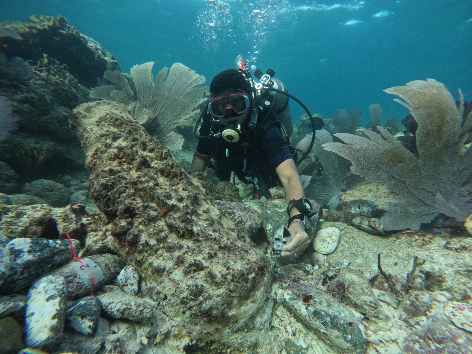 Mi Pasión Transformada en Misión.