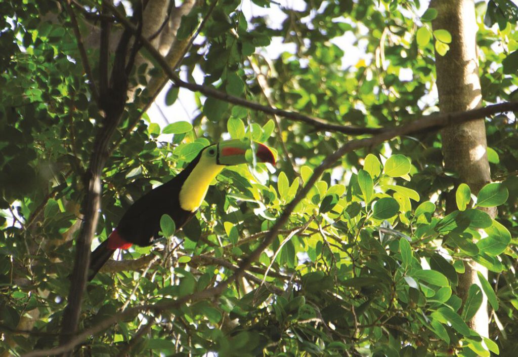 La pasión de un niño fotógrafo guardián de la naturaleza | Hola Tulum