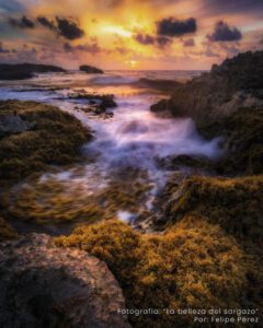 Concurso fotográfico Terra Península - Hola Tulum