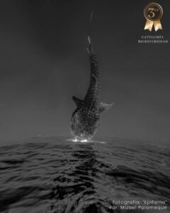 Concurso fotográfico Terra Península - Hola Tulum