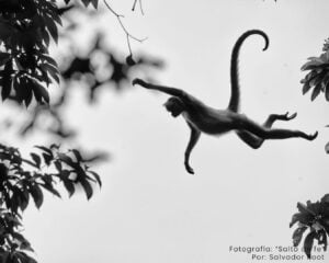Concurso fotográfico Terra Península - Hola Tulum