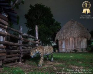 Concurso fotográfico Terra Península - Hola Tulum