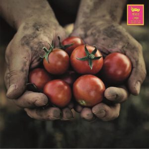 Cocina tradicional: resguardo de la familia e identidad - Hola Tulum