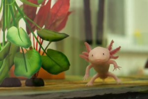 El Axolote de Xochimilco (Ambystoma Mexicanum) - Hola Tulum