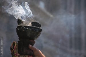 La Herbolaria Mexicana, hace 500 años - Hola Tulum