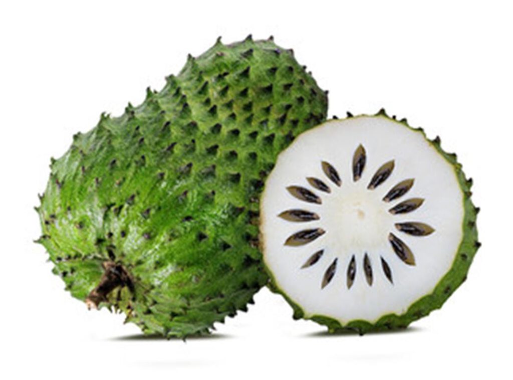 De aromas, sabores, texturas y refranes mexicanos - Hola Tulum