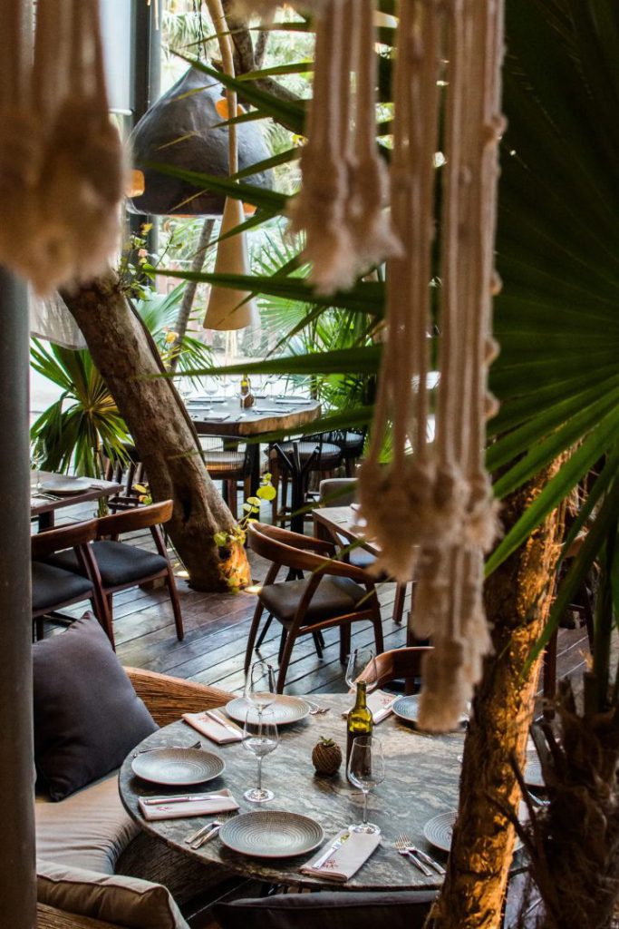 La comida como placentera explosión de los sentidos - Hola Tulum