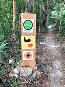 Un día en Punta Venado Bike Park - Hola Tulum