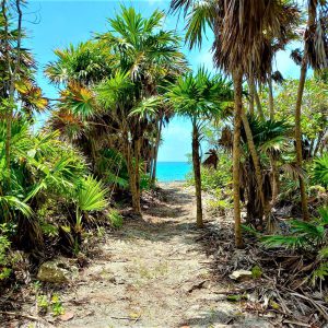 Un día en Punta Venado Bike Park - Hola Tulum
