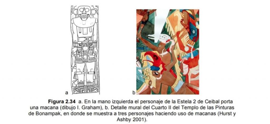 Cuando las estrellas se ciernen sobre la tierra - Hola Tulum