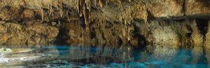 Reservorios de la biodiversidad de Yucatán - Hola Tulum