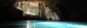 Reservorios de la biodiversidad de Yucatán - Hola Tulum