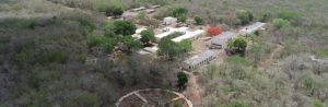 Reservorios de la biodiversidad de Yucatán - Hola Tulum